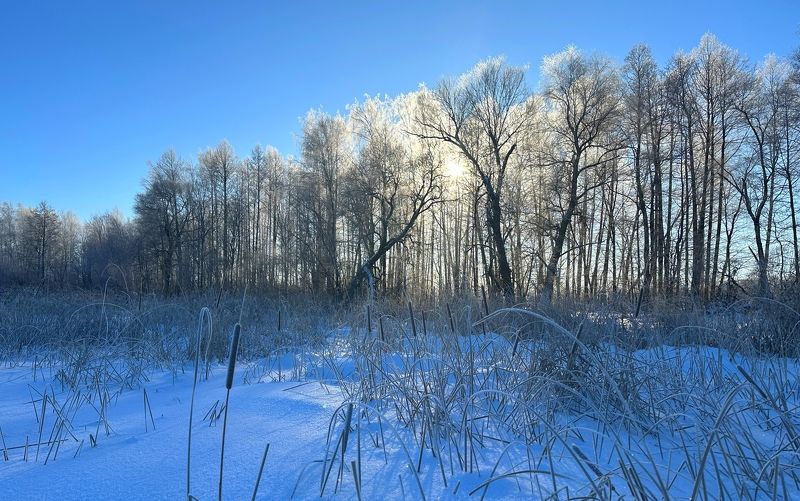 Утренний рассветphoto preview