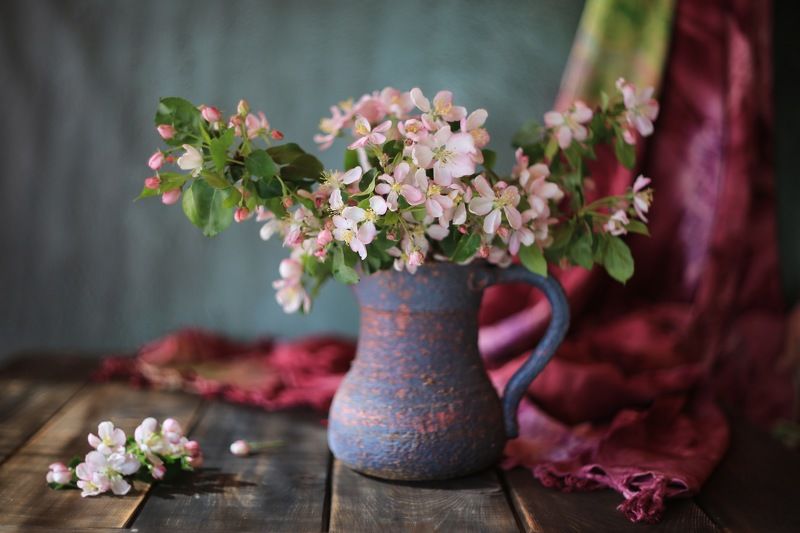 Яблоня цвет натюрморт букет bouquet Stilllife canon canon5d Яблоневый цветphoto preview