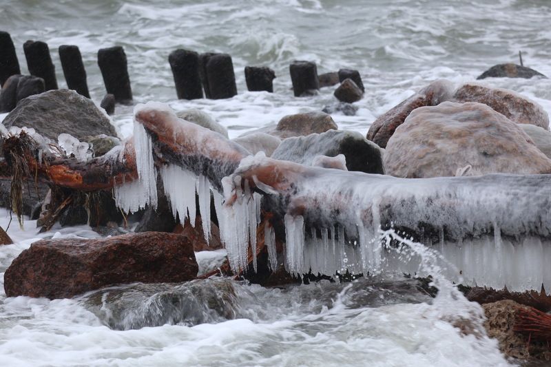 След холодного моряphoto preview