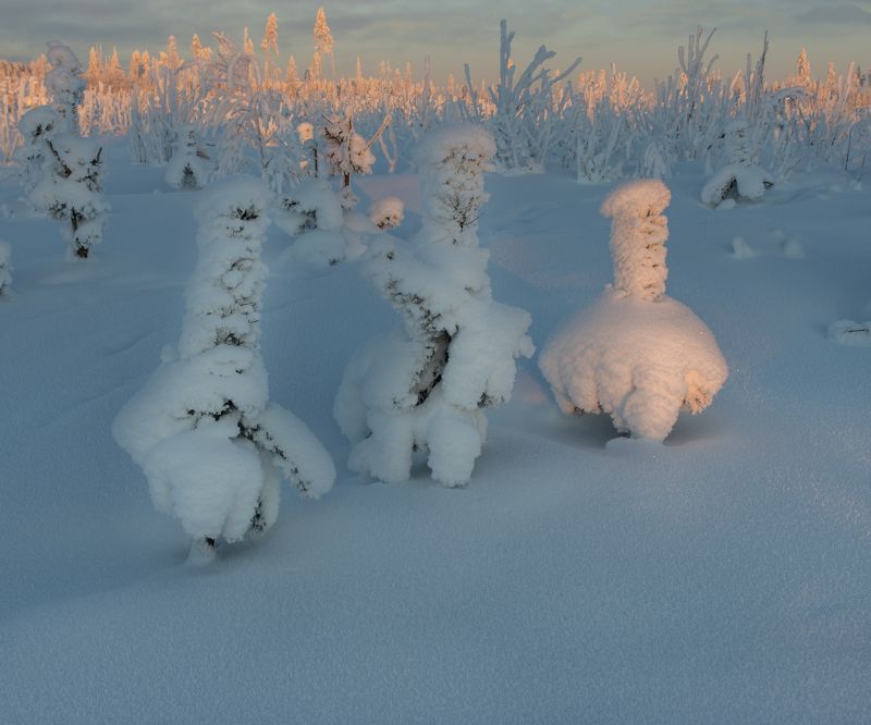 снег зима иней мороз сугроб солнце Везунчикphoto preview