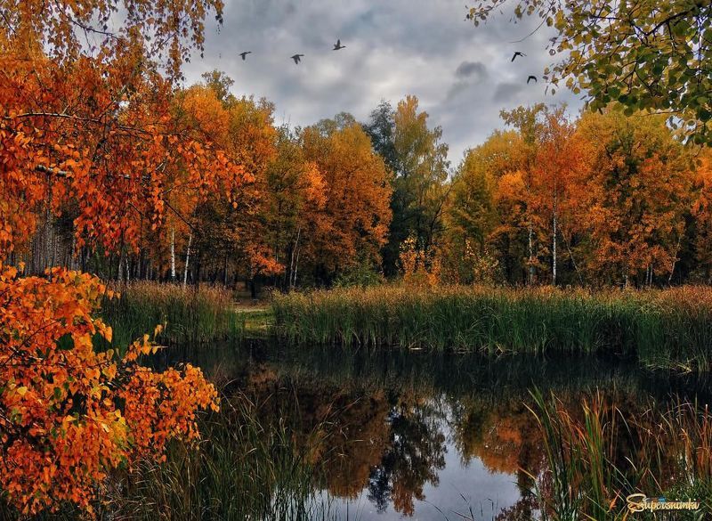 Осеньphoto preview