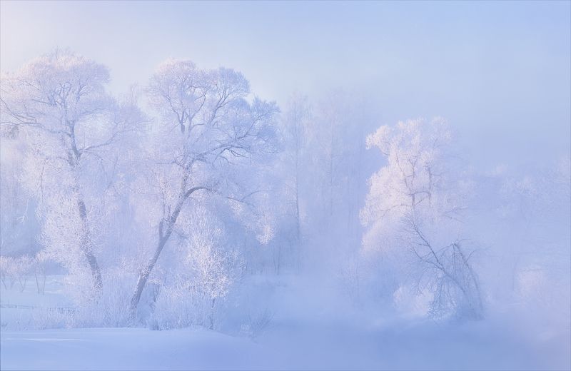 истра, утро, мороз Зимние нежностиphoto preview