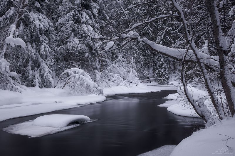 В снежных объятияхphoto preview