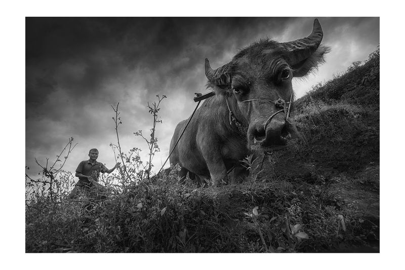 Rice&Icon of Vietnamphoto preview