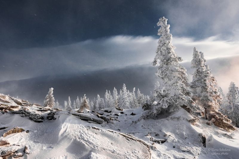 уреньга, хребет, горы, зима, челябинская область, снег, лес Хребет Уреньгаphoto preview