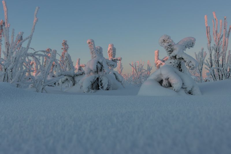 зима, снег, мороз, иней, сугроб, солнце, закат, вечер Холодокphoto preview