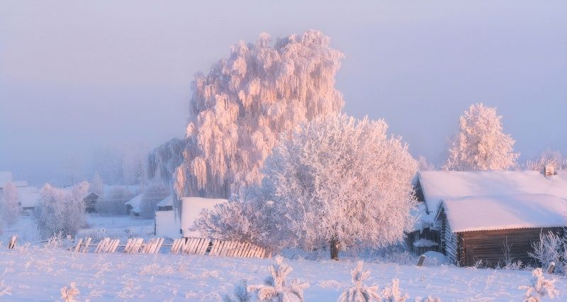 В морозном кружеве зимыphoto preview