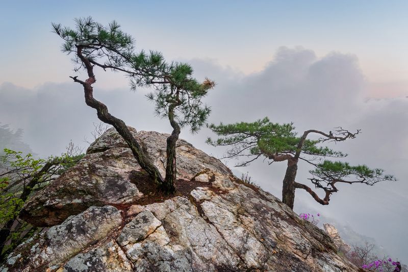 Tongs and little scarecrow treephoto preview