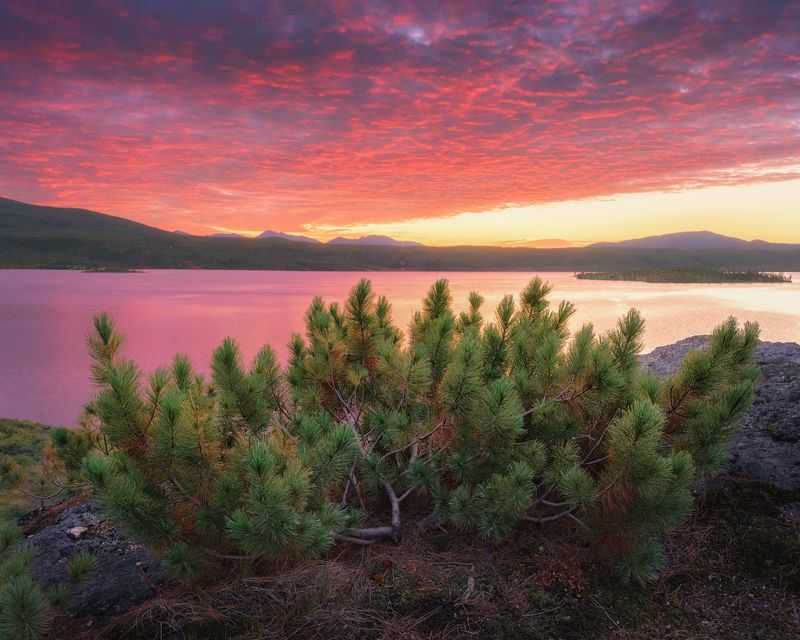 под пологом рассветных облаков photo preview