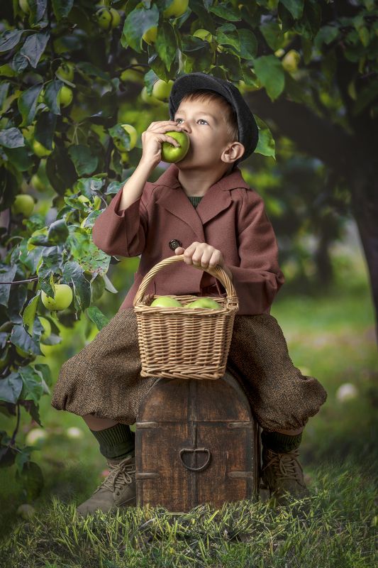 Boy, apples, orchard, Smith Smith Orchardphoto preview