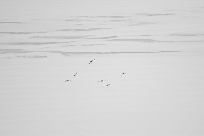 Зимнееphoto preview