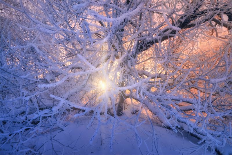 истра, утро, мороз, рассвет Морозные объятияphoto preview