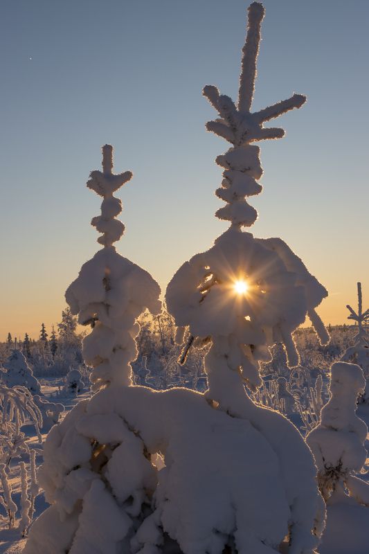 зима, снег, мороз, иней, сугроб, солнце С огонькомphoto preview