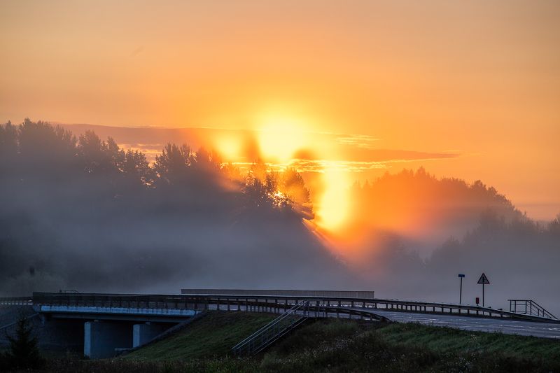 туман, солнце, лето, рассвет, дорога, утро, природа, небо, деревья Туманная дорогаphoto preview