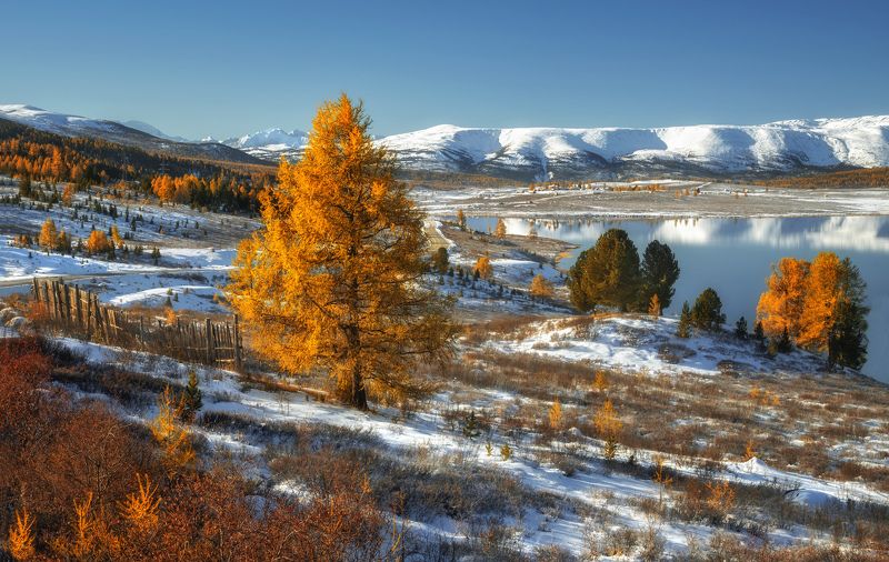 горный алтай,осень,улаганское плато,озеро узункель,отражения,снег Осеннее утро на Узун-кель...photo preview