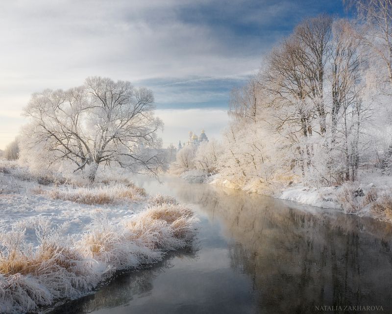 истра, иней, утро Первый день зимыphoto preview