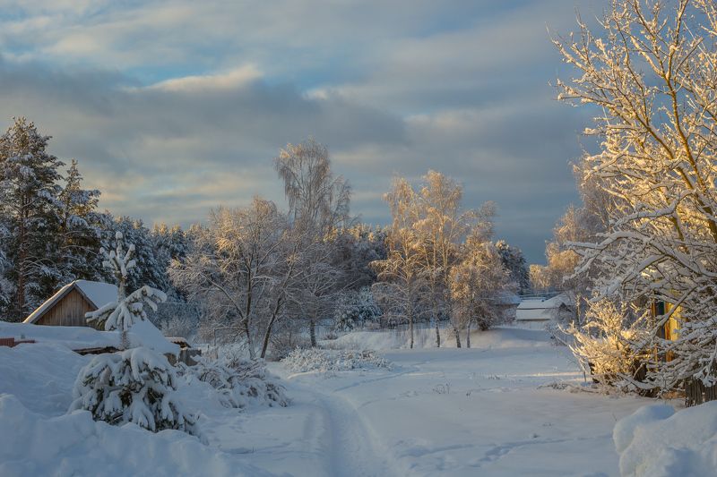 утро, мороз, деревня, серково Морозное утроphoto preview