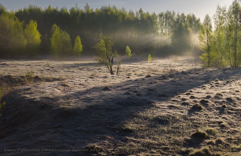 костромская область Апрельские заморозки. Рассветphoto preview