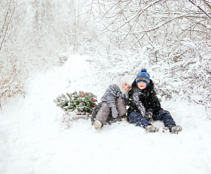 зимние забавыphoto preview