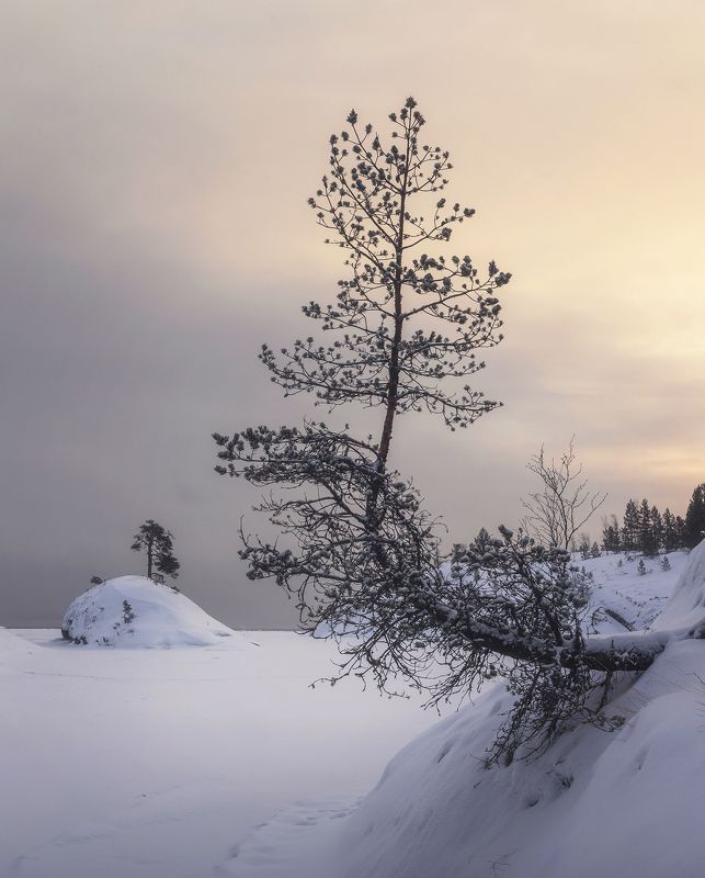 На Ладогеphoto preview