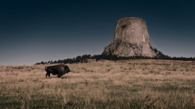 Башня дьяволаphoto preview