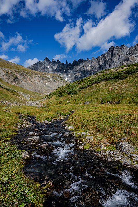 Ганальские востряки photo preview