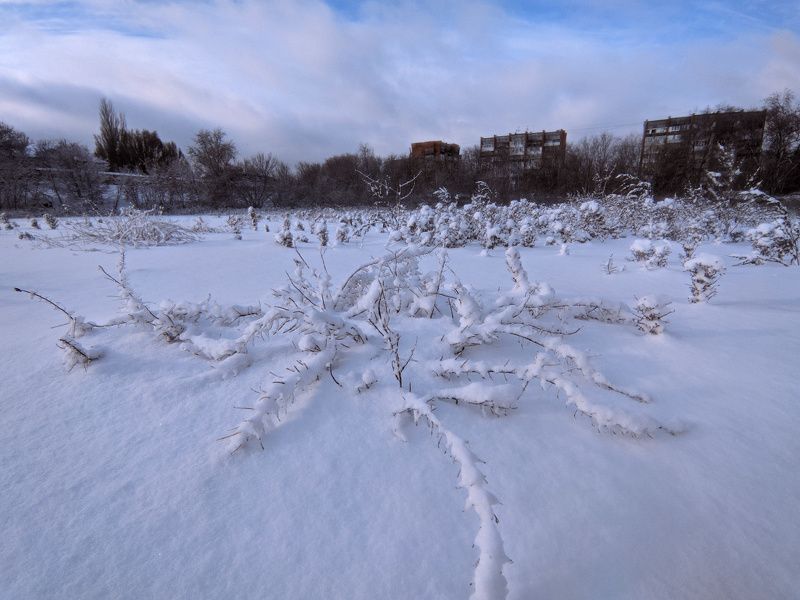пейаж,зима photo preview
