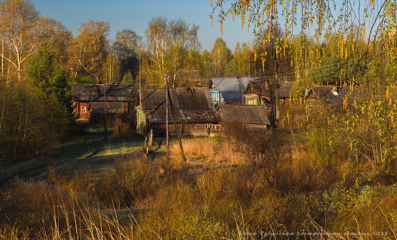 Берёзовый апрель фото превью