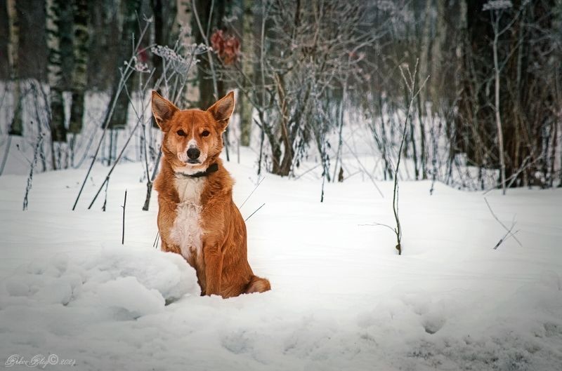 Почтиphoto preview