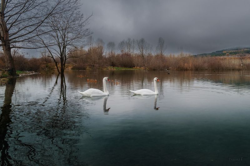 *** фото превью