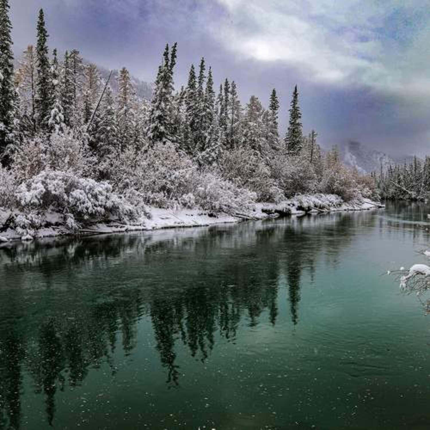 зима, Каверин Владимир