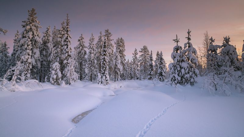 север, кольский, заполярье,апатиты ***photo preview