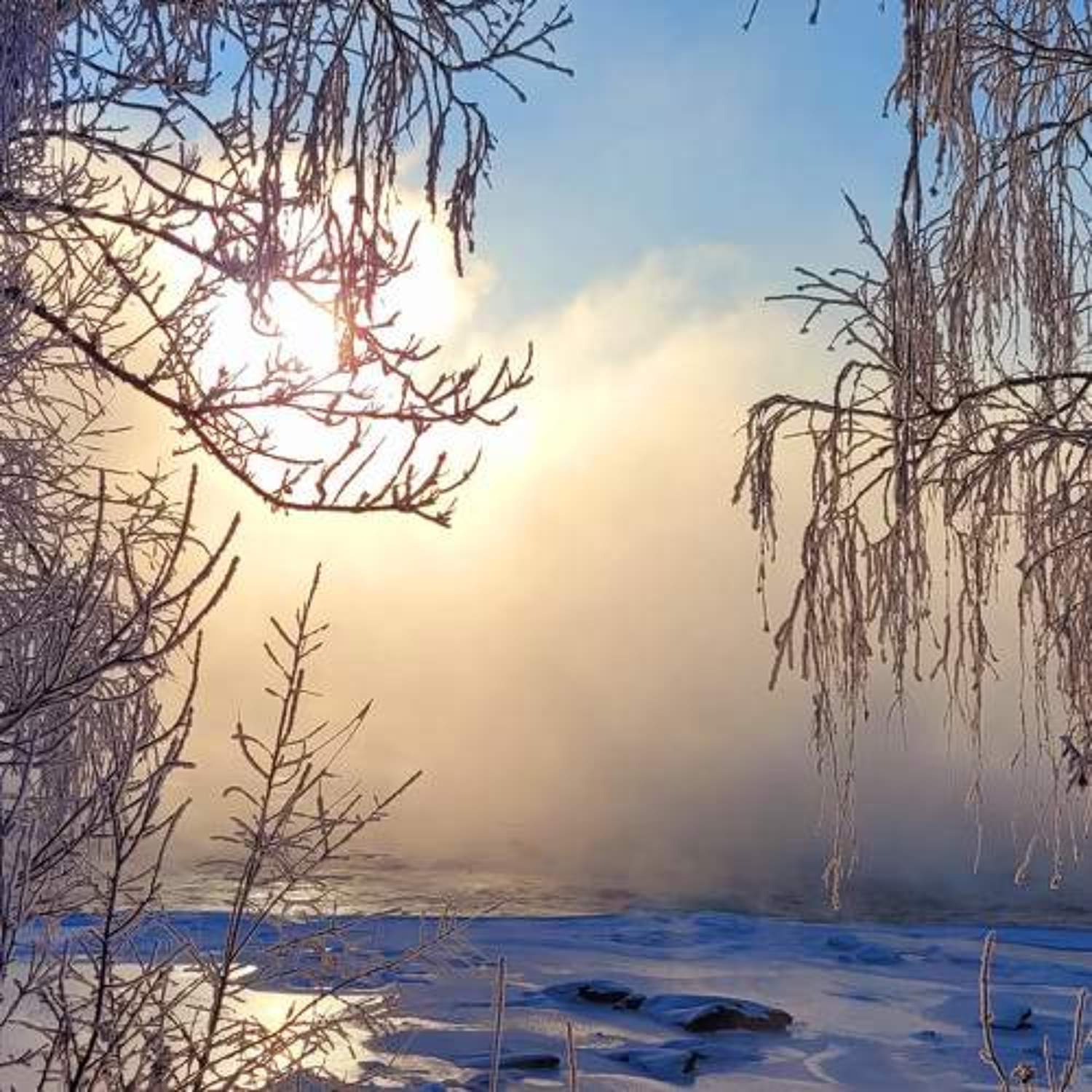 , Каверин Владимир