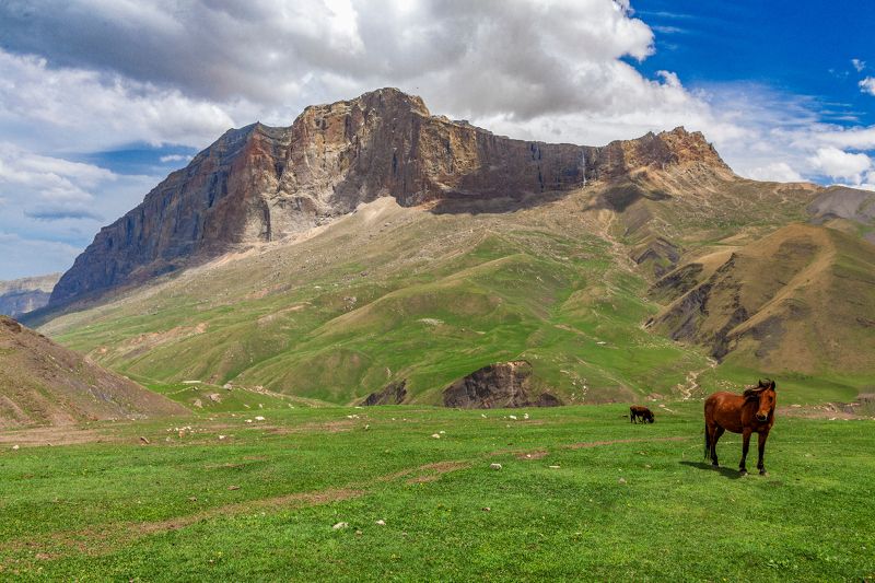 Курушphoto preview