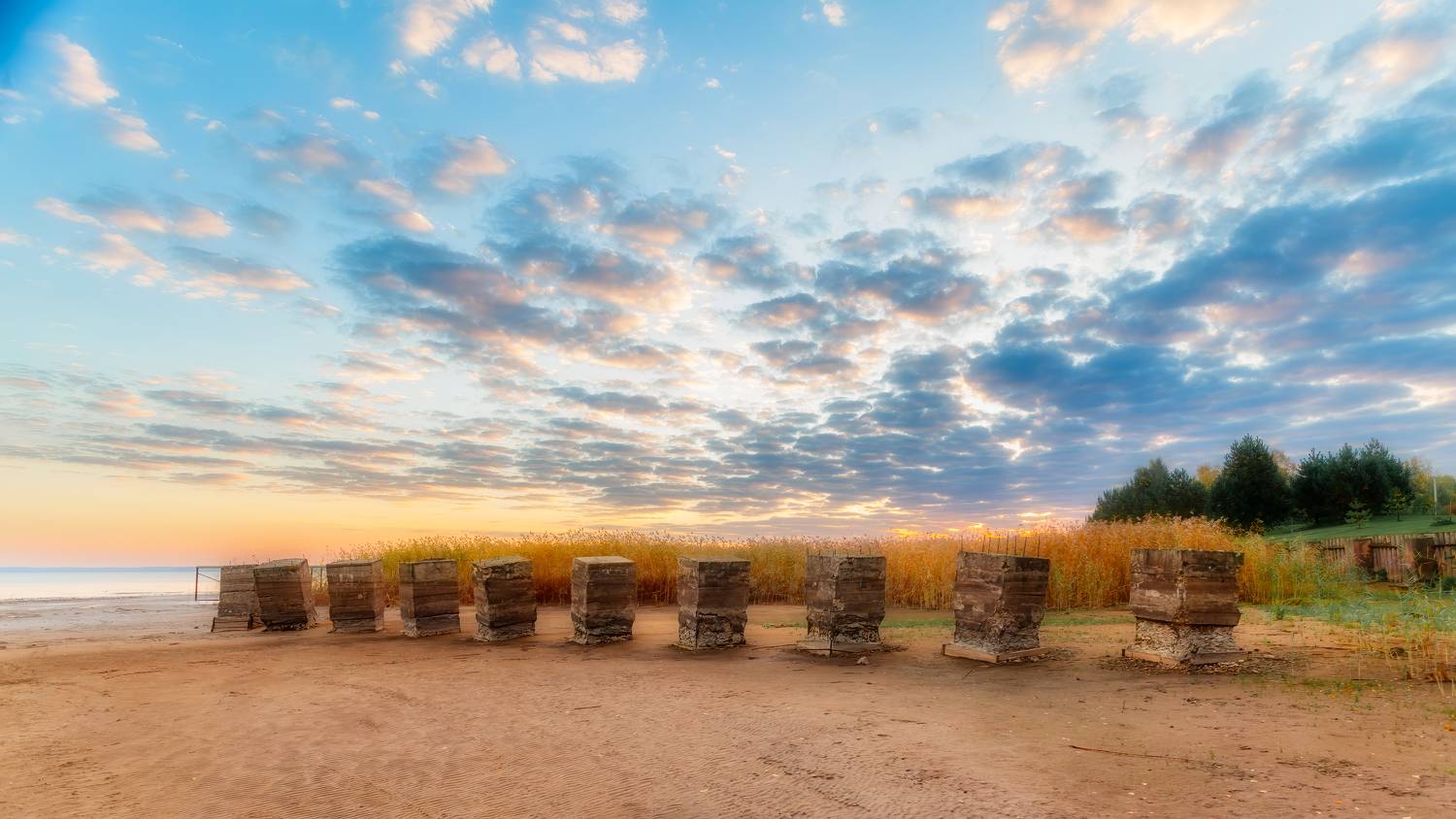 Автор: Васенков Геннадий , Васенков Геннадий