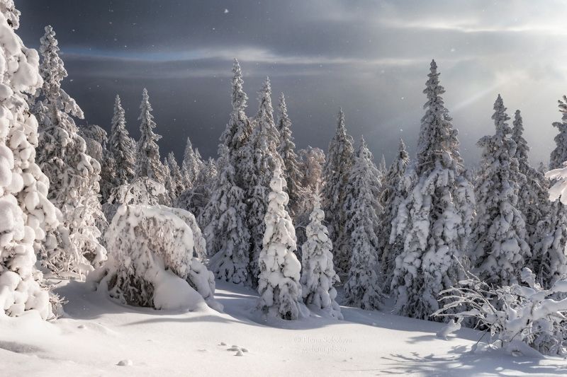 уреньга, хребет, горы, снег, зима Хребет Уреньгаphoto preview