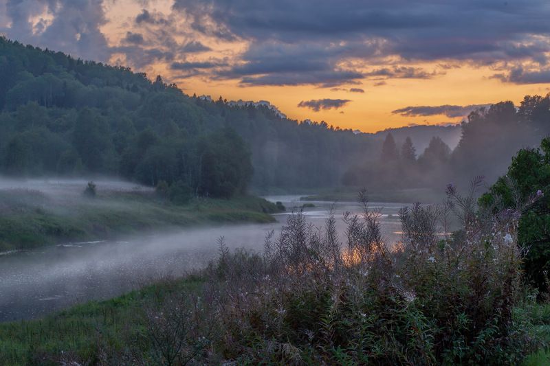 Туманно-Иван-Чайнаяphoto preview