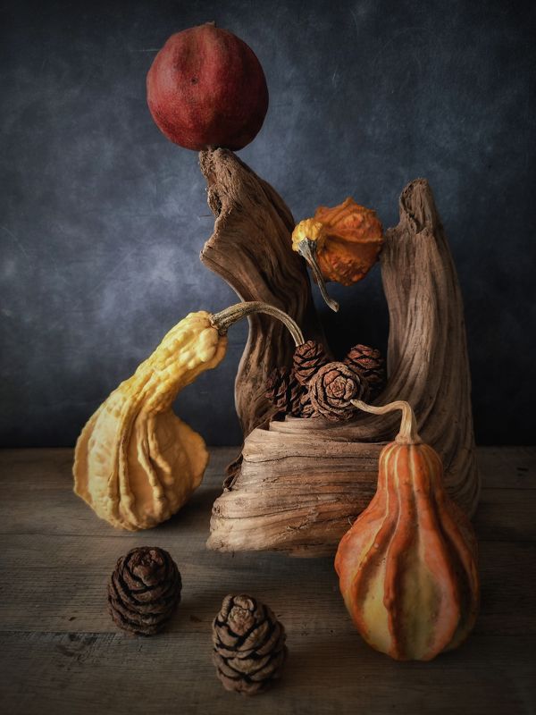 The Nestphoto preview