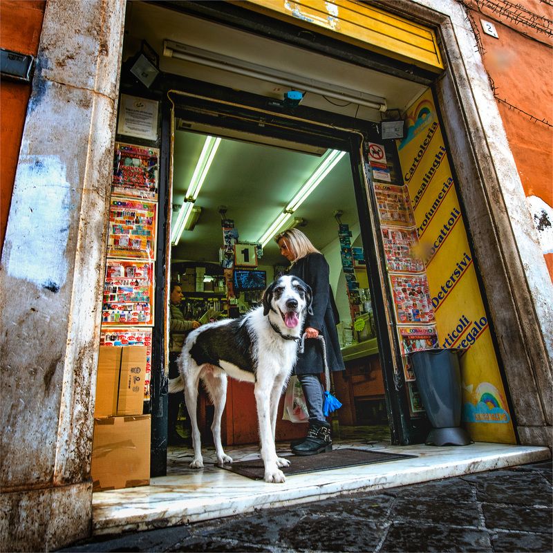 -жанровый портрет-photo preview