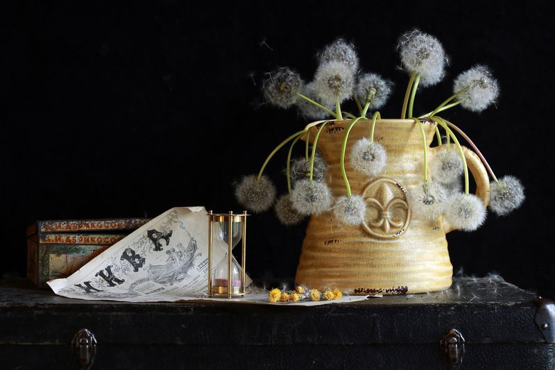 Одуванчик букет цветы bouquet flowers stilllife натюрморт canon Времечкоphoto preview