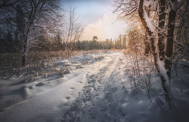 зима лес природный резерват Лесные тропинки...photo preview