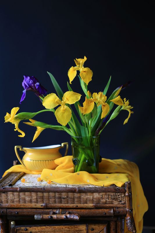 Ирисы желтый цвет натюрморт stilllife canon винтаж Желтые ирисыphoto preview