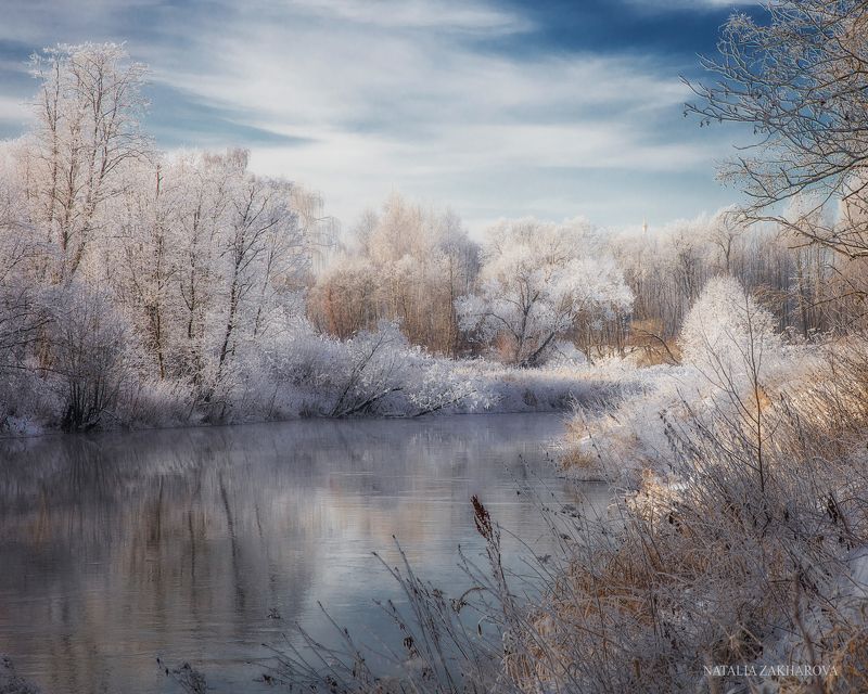 истра, иней, утро Кружевное первозимьеphoto preview
