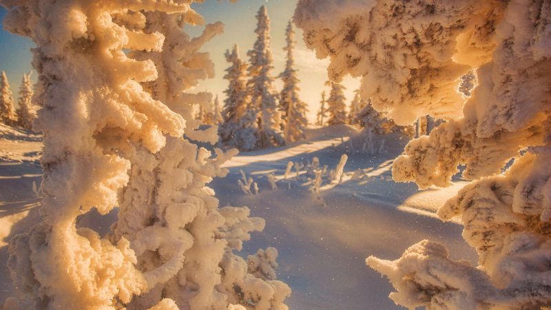 сибирь, кузбасс, пейзаж, природа, зима, снег, закаты, мороз, шерегеш, восход Золотое начало дня! фото превью