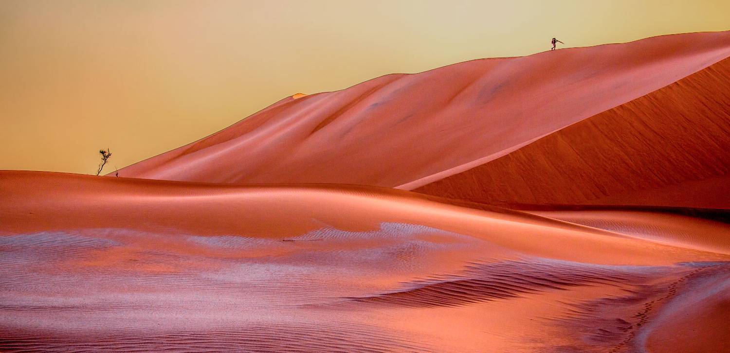 В поисках шедевра. Автор: Yuri Ovchinnikov , Yuri Ovchinnikov