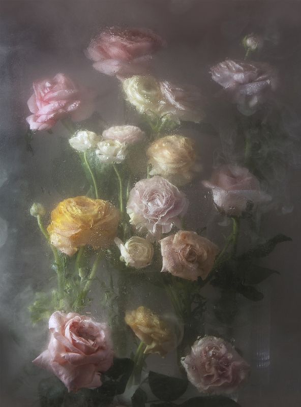 букет, розы, розовые, натюрморт, окно, стекло, стол, композиция, подарок, праздник, романтика, Букет с розами за стекломphoto preview