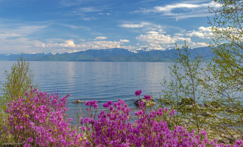 байкал, природа, весна ***photo preview