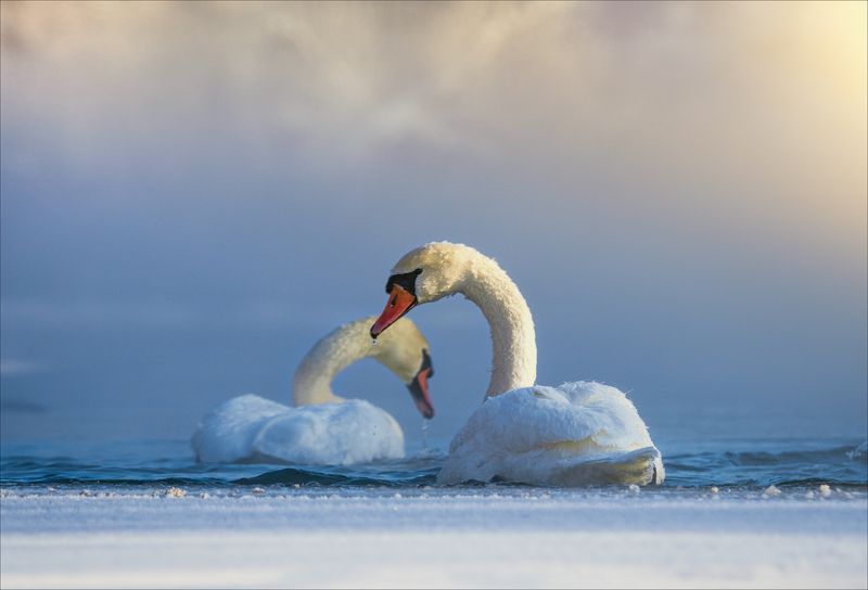 Светает...photo preview