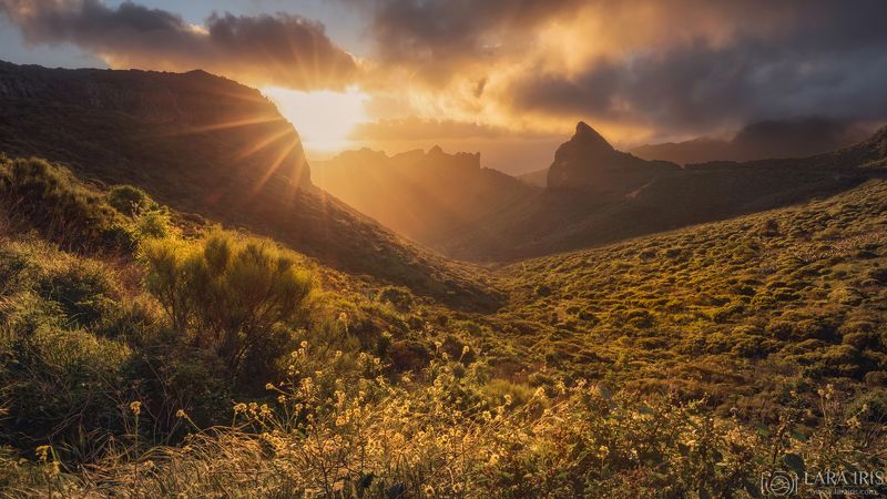 Закатный вальсphoto preview