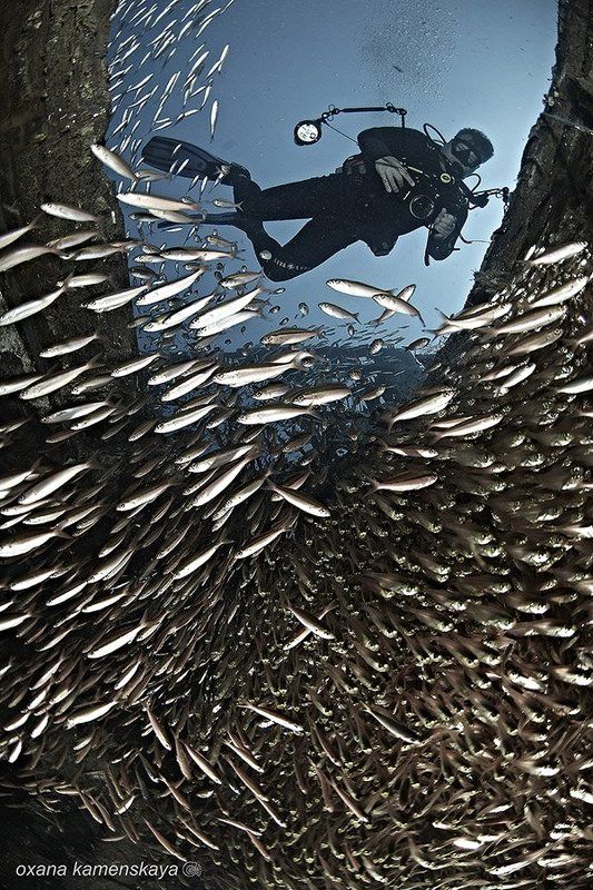 Из трюма.photo preview